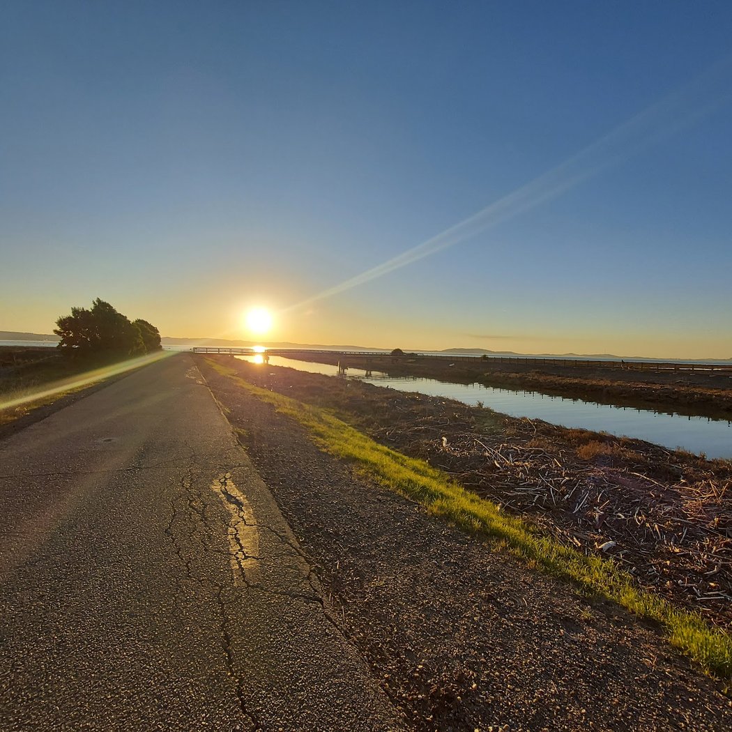 Hayward Regional Shoreline Parking 1