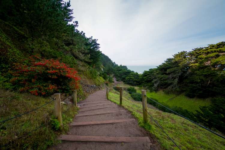 Lands End Trail 2