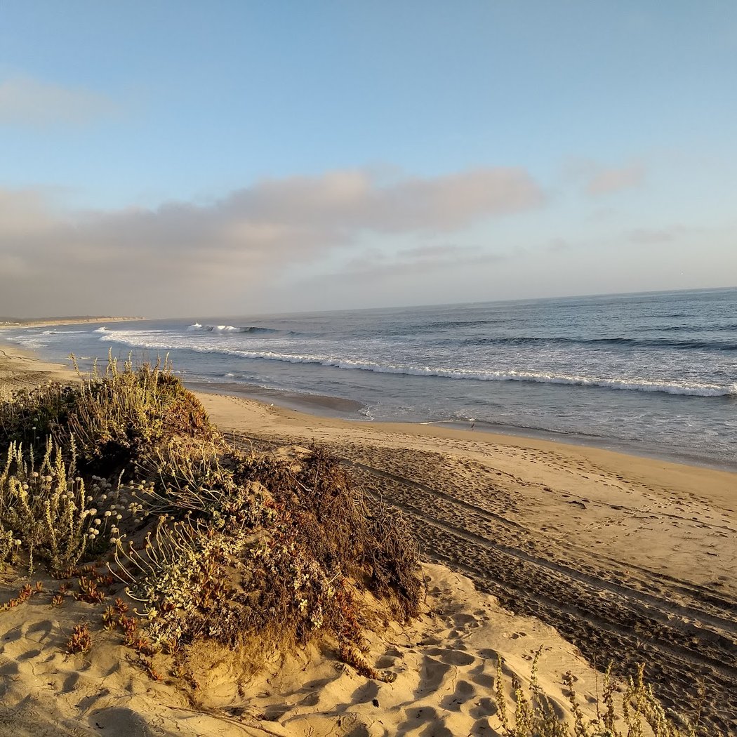 Roosevelt Beach 1