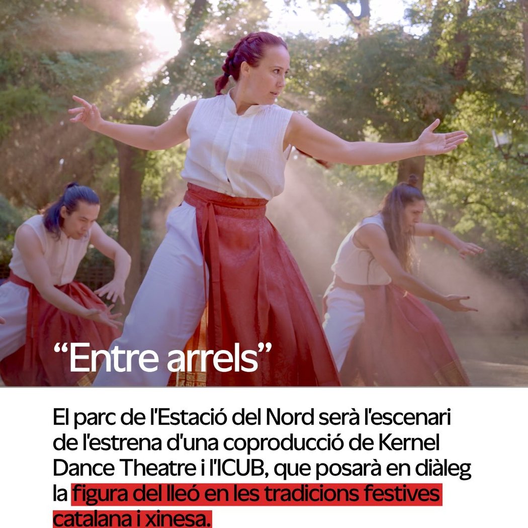 Entre arrels