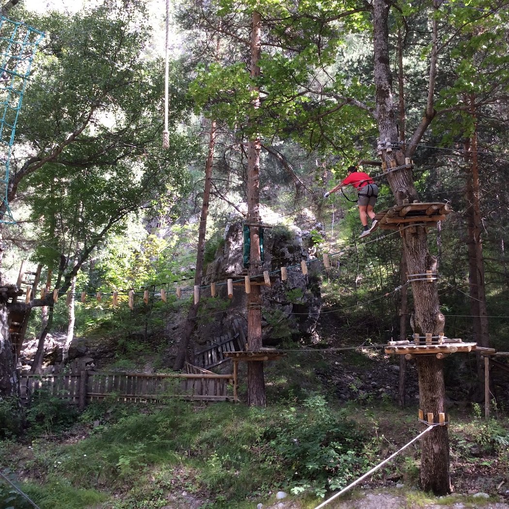 Grimp In Forest 2