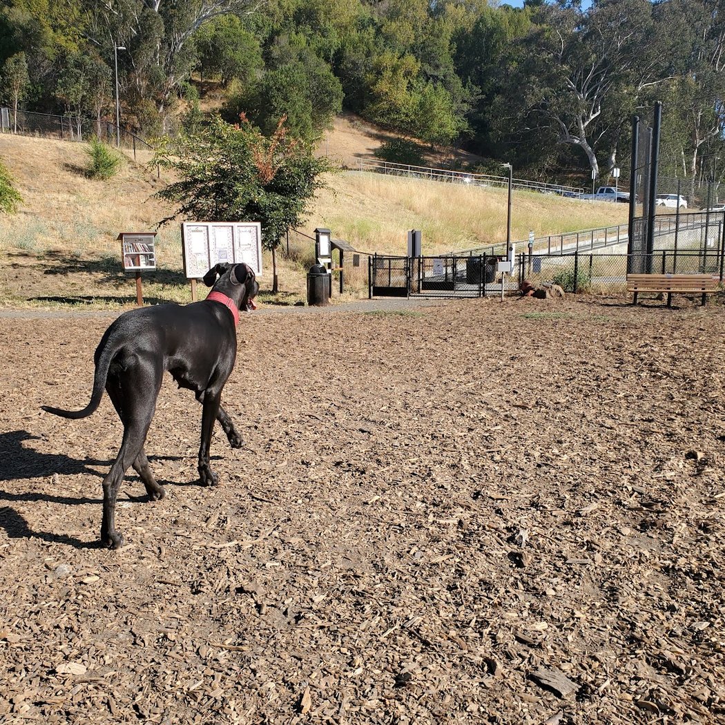 Red Hill Community Park 2