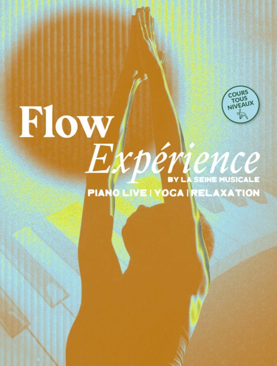 Flow Expérience 1