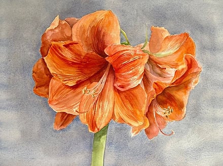 Mami Weber Watercolor 1