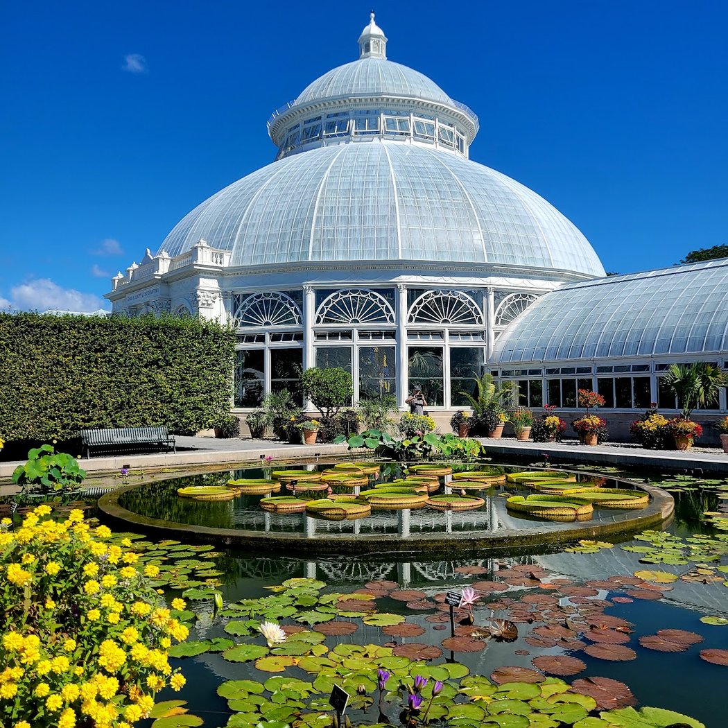 The Orchid Show: Mexican Modernism 2