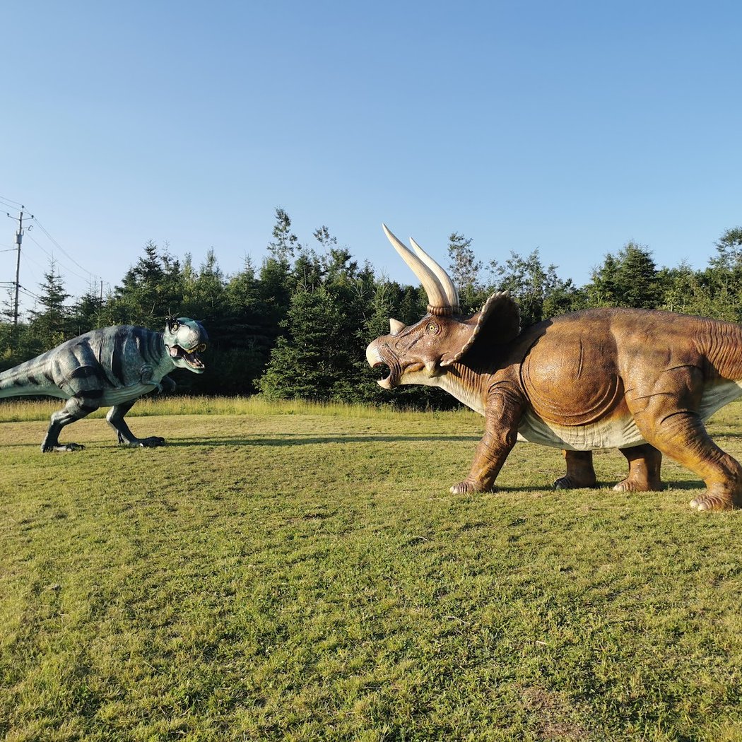 Musée de la nature 3