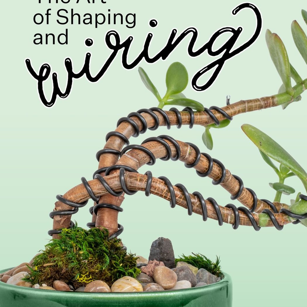 The Art of Shaping and Wiring 1