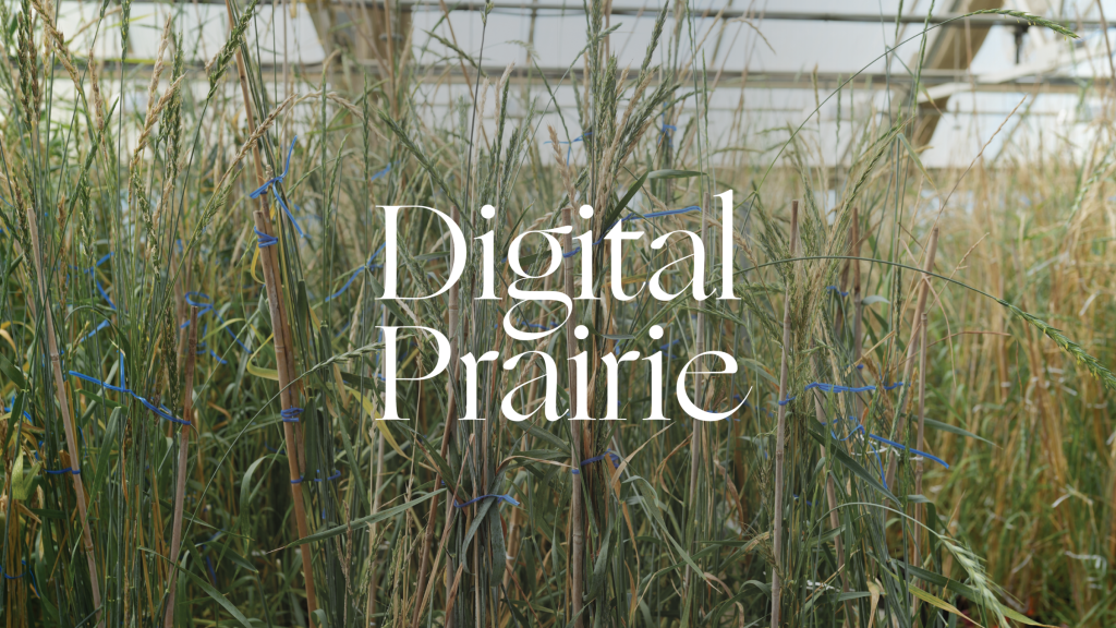 Digital Prairie 1