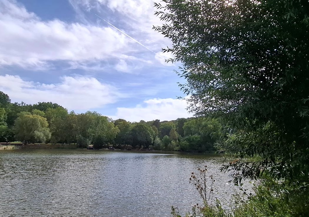 Fête des étangs Ville d'Avray 2