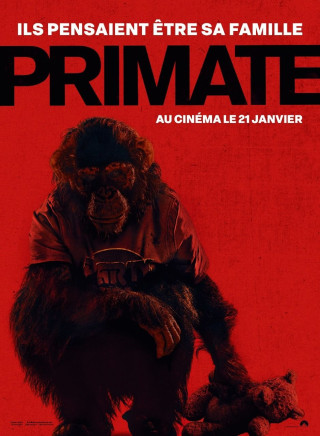 PRIMATE 1