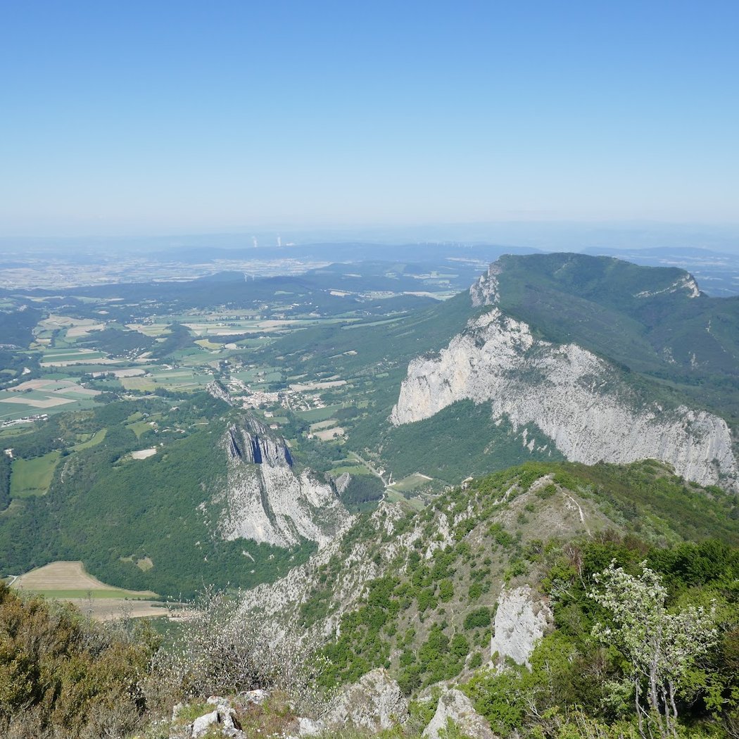 Forêt de Saou 2