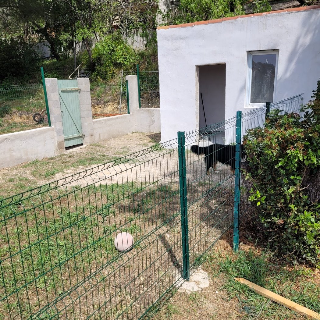 keepdog pension canine 2