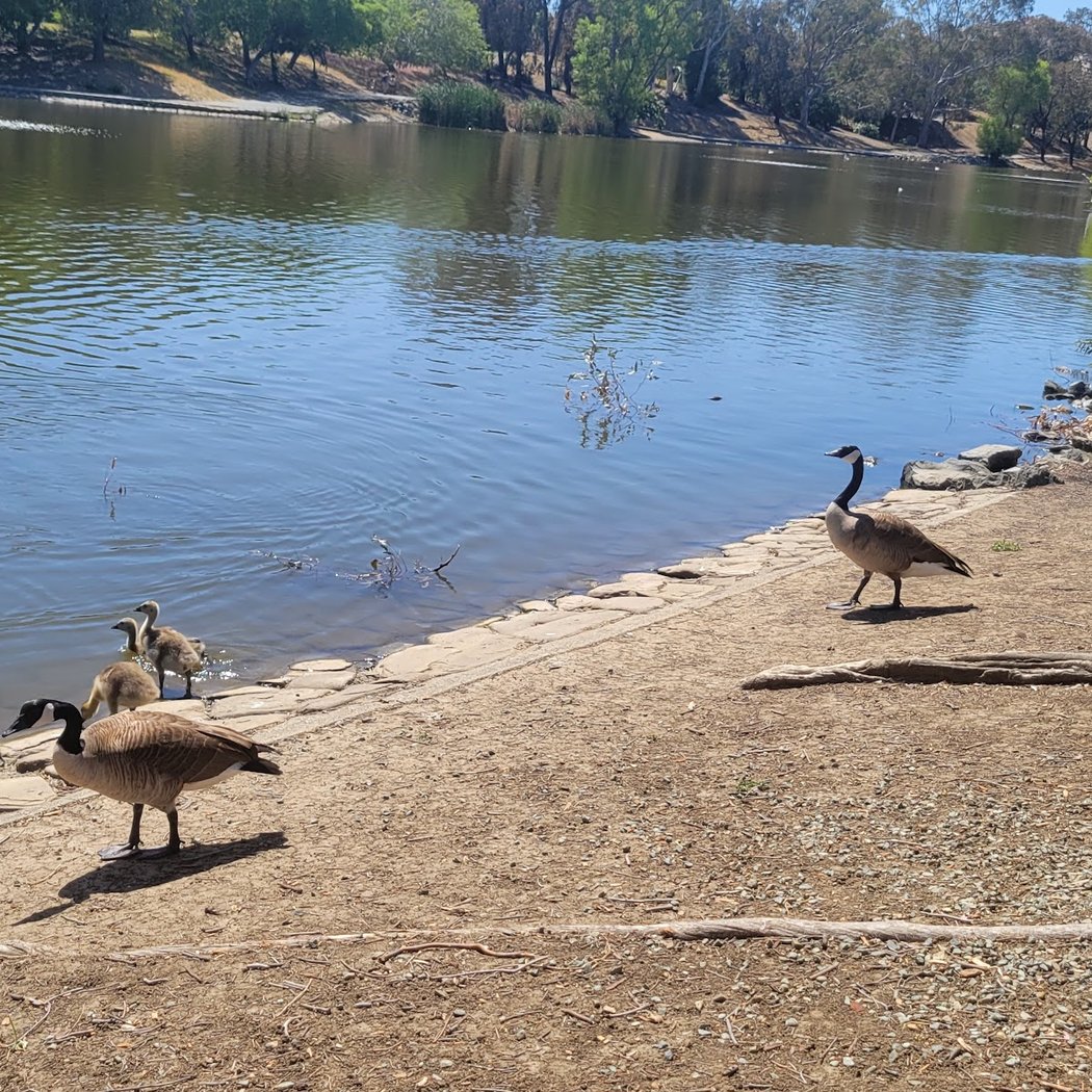 Los Medanos College 1