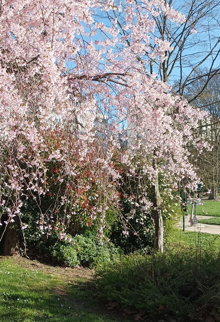 Jardin Public de l'Avre 1