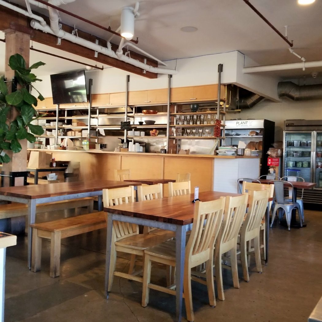 THE PLANT cafe organic 3
