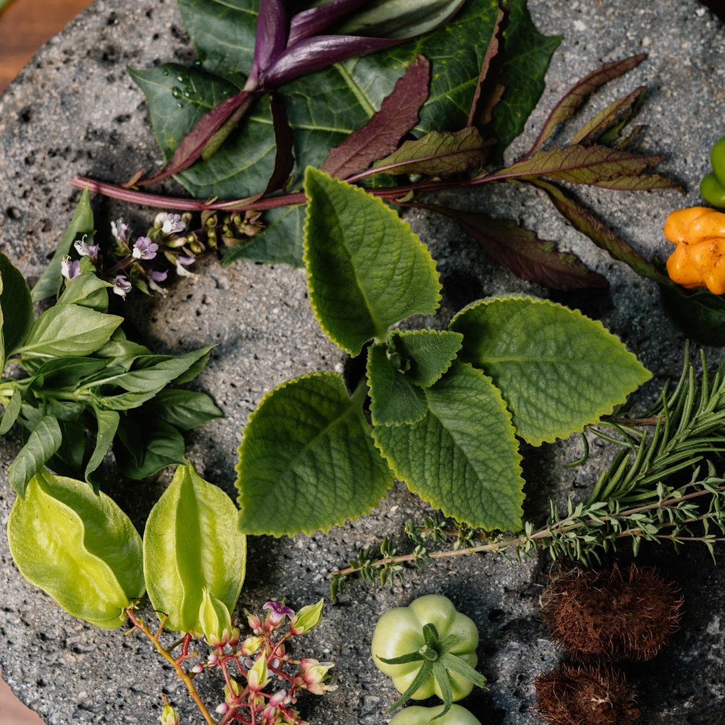 Farm-to-Table Dining Experience 3