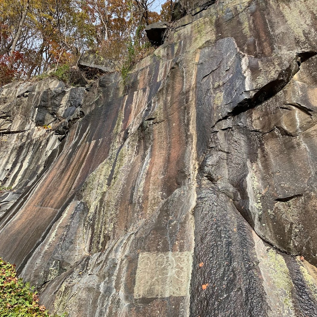 Alapocas Run State Park 2