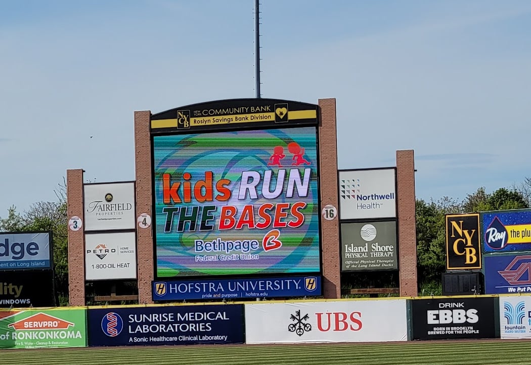 Long Island Ducks Baseball 2