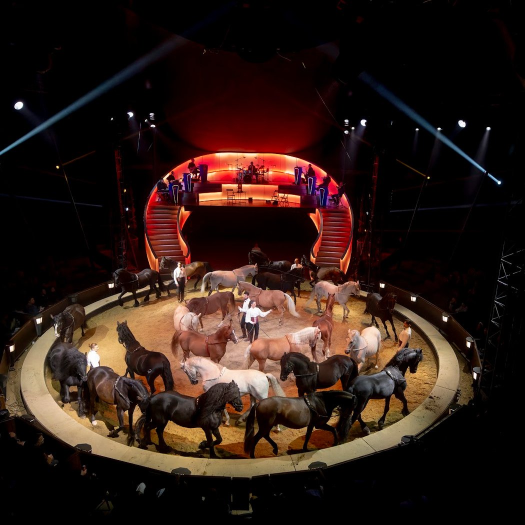 Cirque Alexis Gruss 1