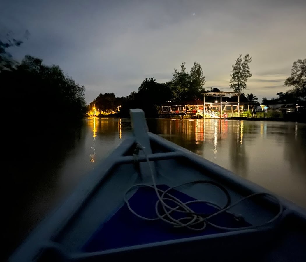 Kuala Selangor Fireflies 2