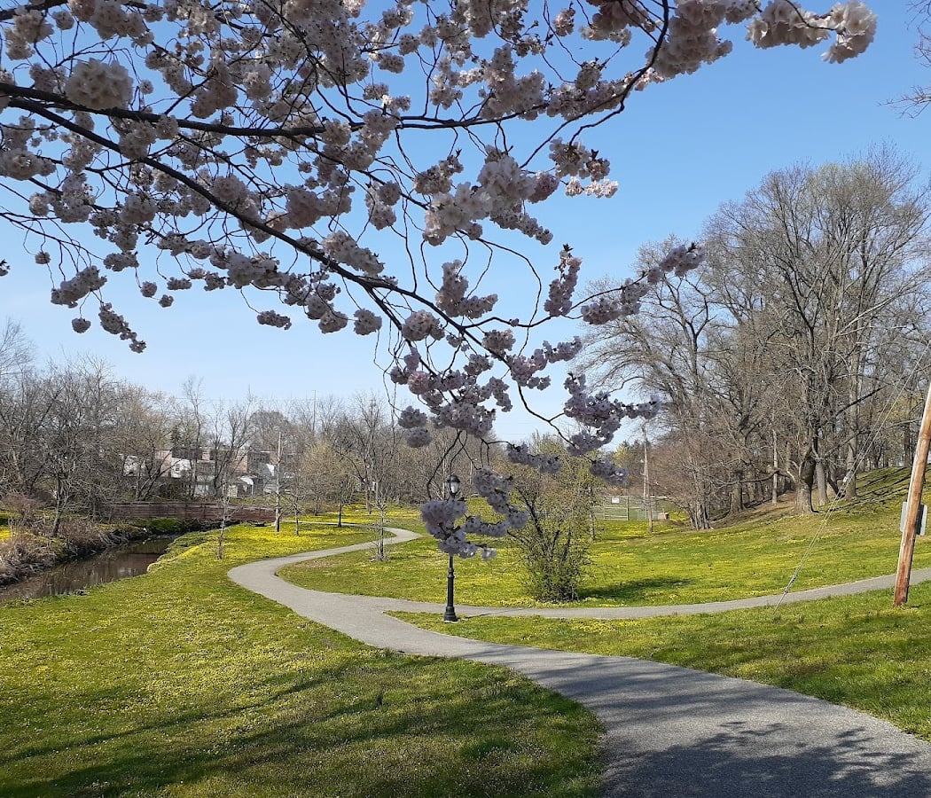 Moores lake park 1