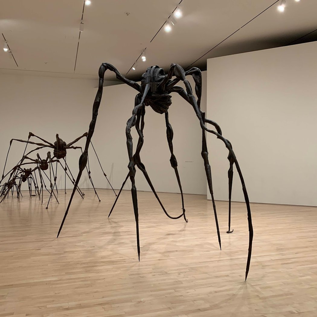 Exhibition at San Francisco Museum of Modern Art 4
