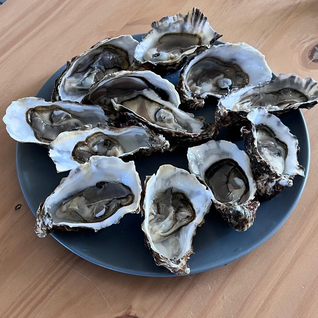 Retailleau Oysters and Shellfish Mesquer 1