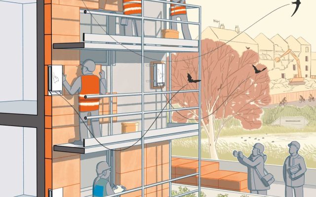 Rénovation du bâti et biodiversité 1
