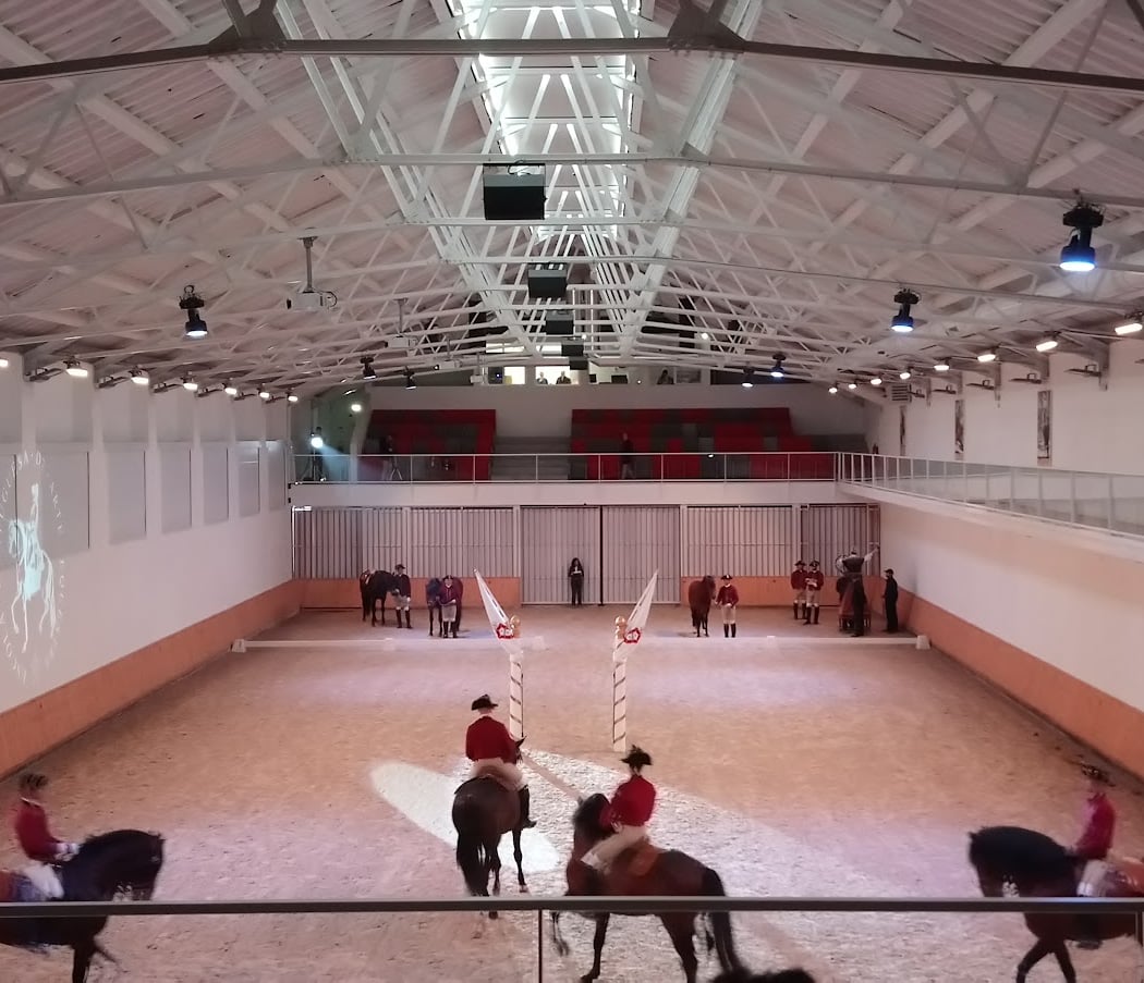 Manhãs da Arte Equestre 2