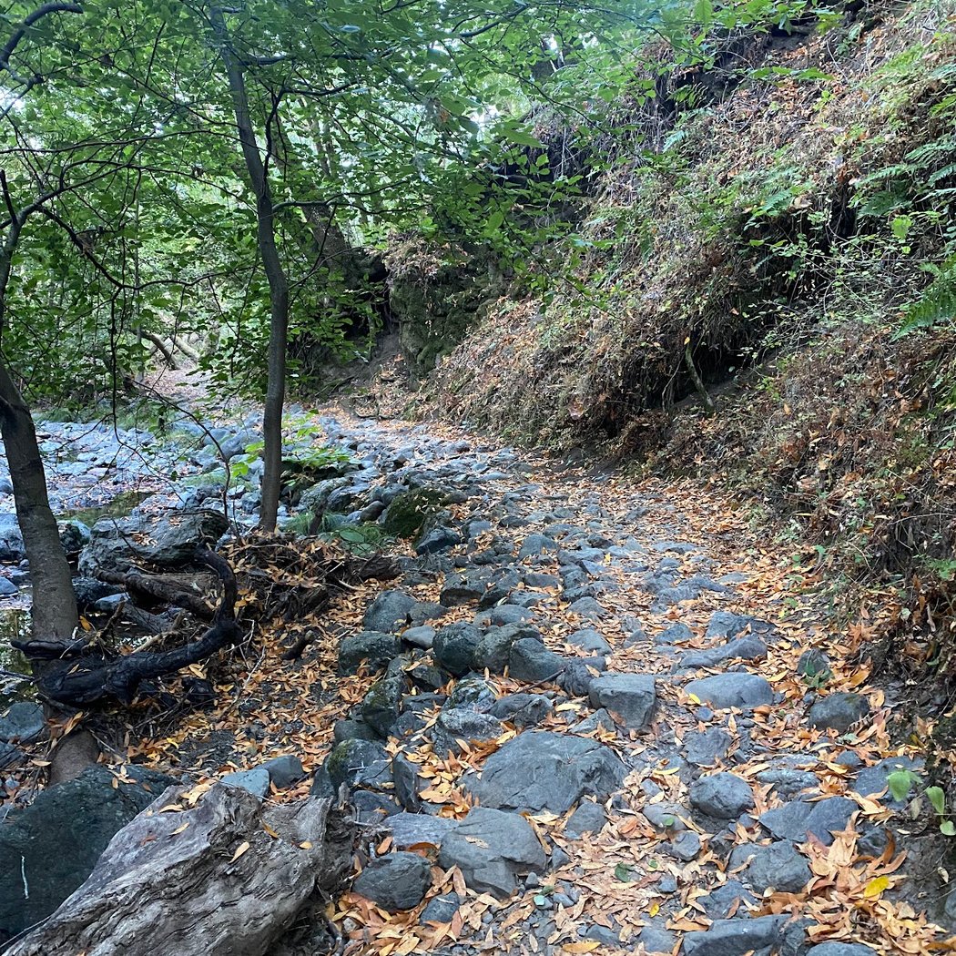 Cascade Canyon Preserve 3