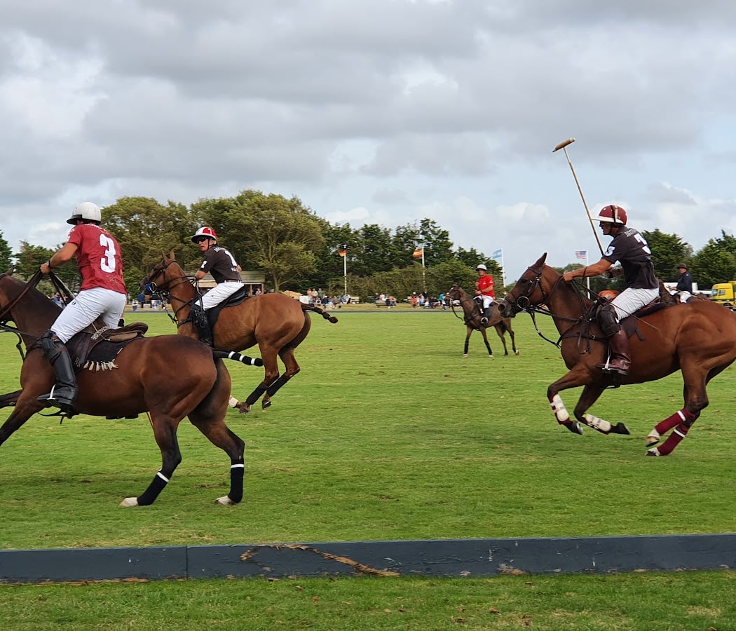 Sarl Congor Polo Club 1