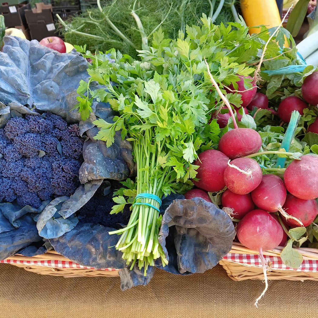 MERCADO AGROECOLÓGICO DEL ALJARAFE, 3er SÁBADO DE CADA MES 1