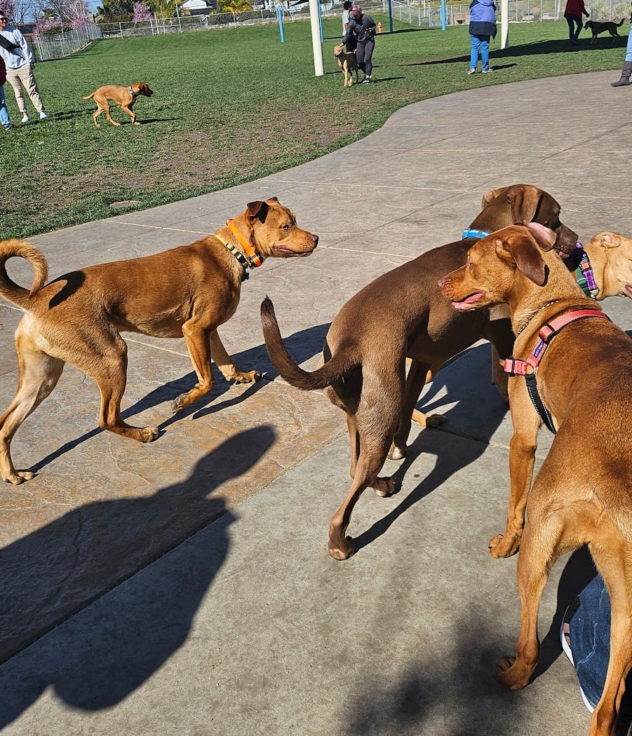 Nunn-Wilson Family Park 3