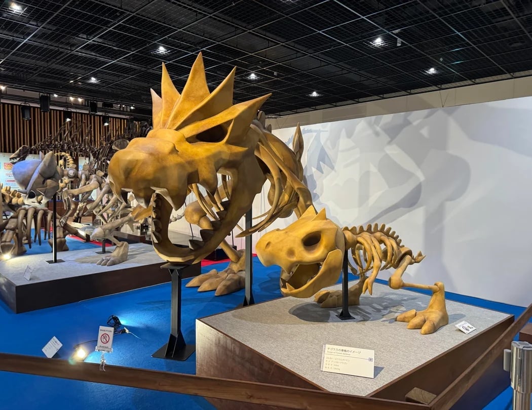 Early Morning: The Pokémon Fossil Museum