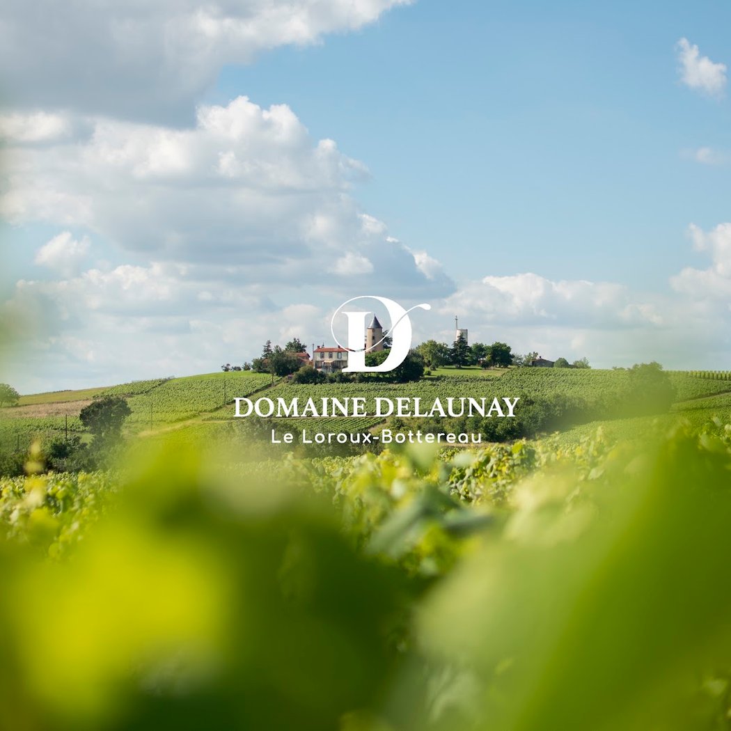 Domaine Delaunay 2