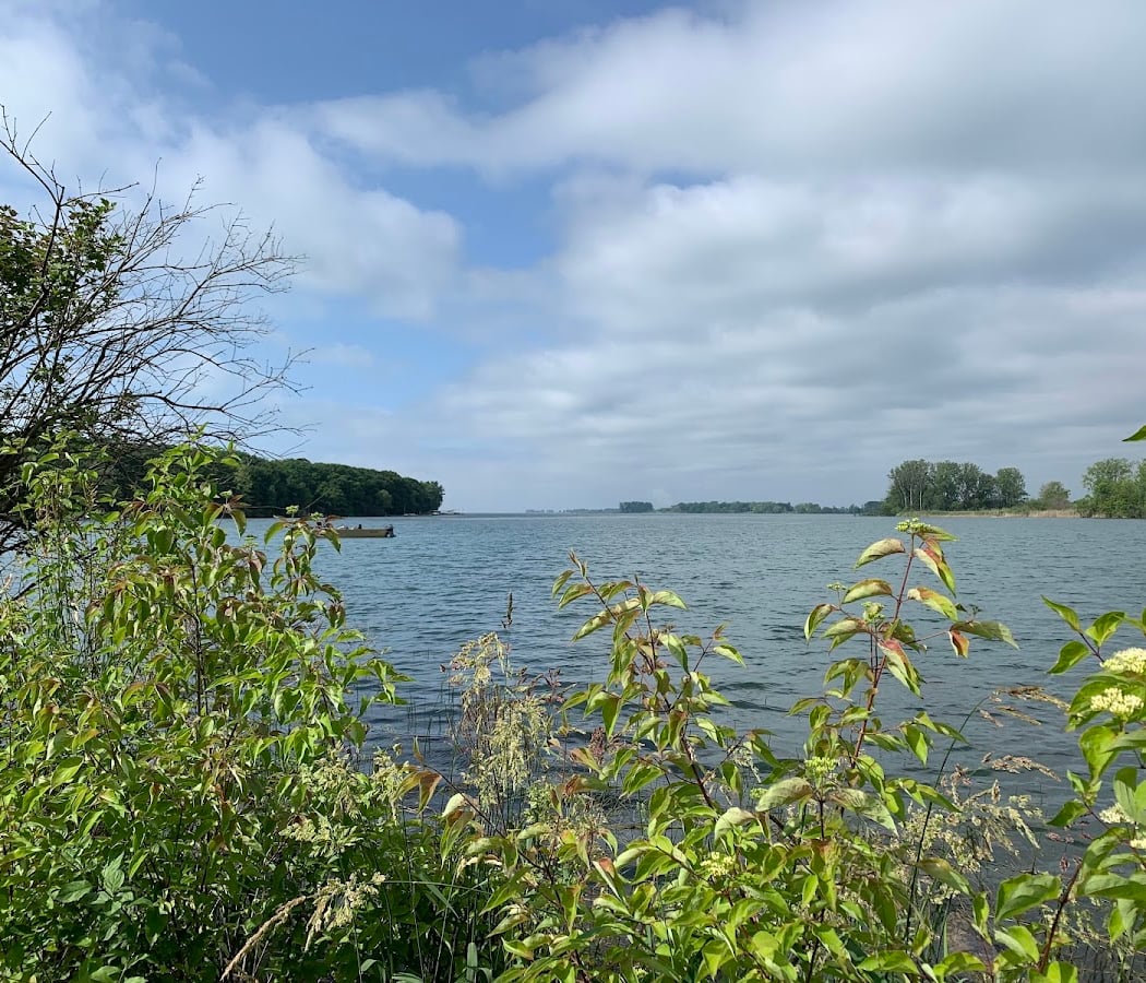 Grosse Ile Nature & Land Conservancy. John C Jackson Resource Center 1