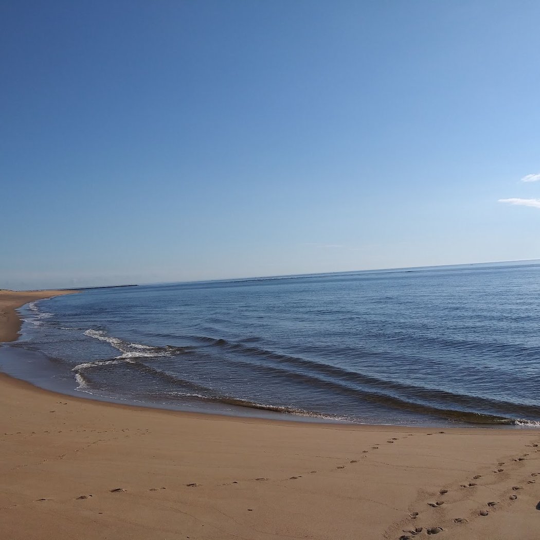Plum Island 1