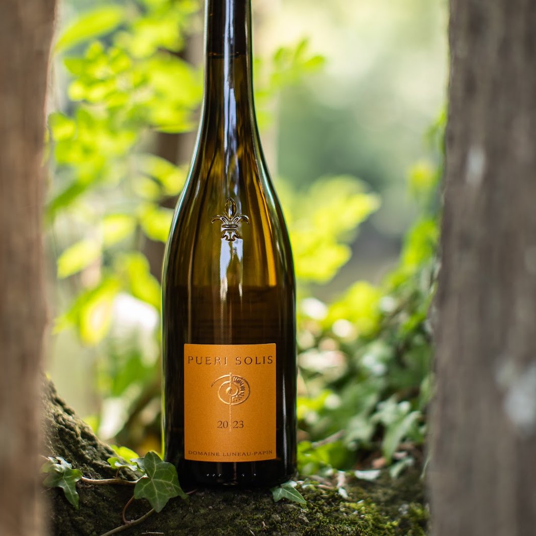 Domaine Luneau-Papin 2