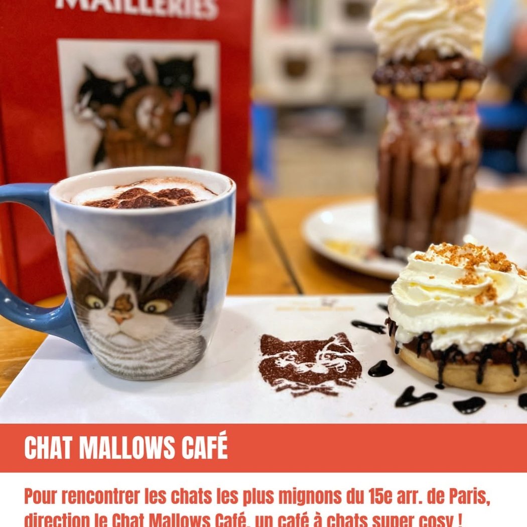 Chat Mallows Café 10€/pers Age 6+ only 1