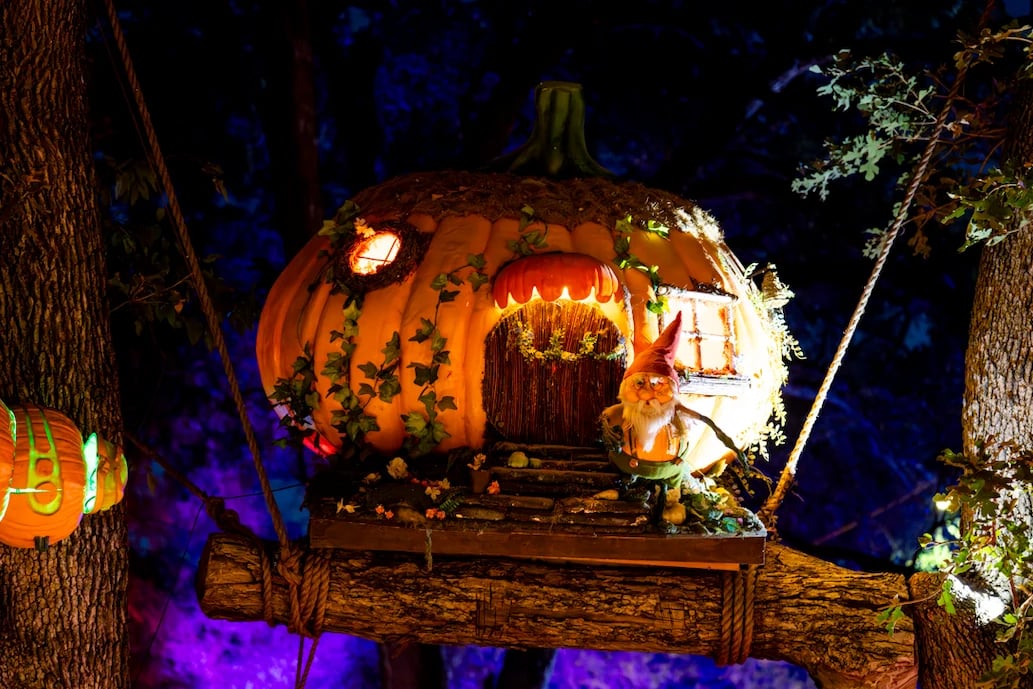 Pumpkin Nights 2