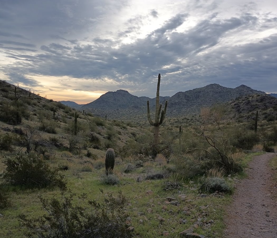 Estrella Mountain Regional Park 1