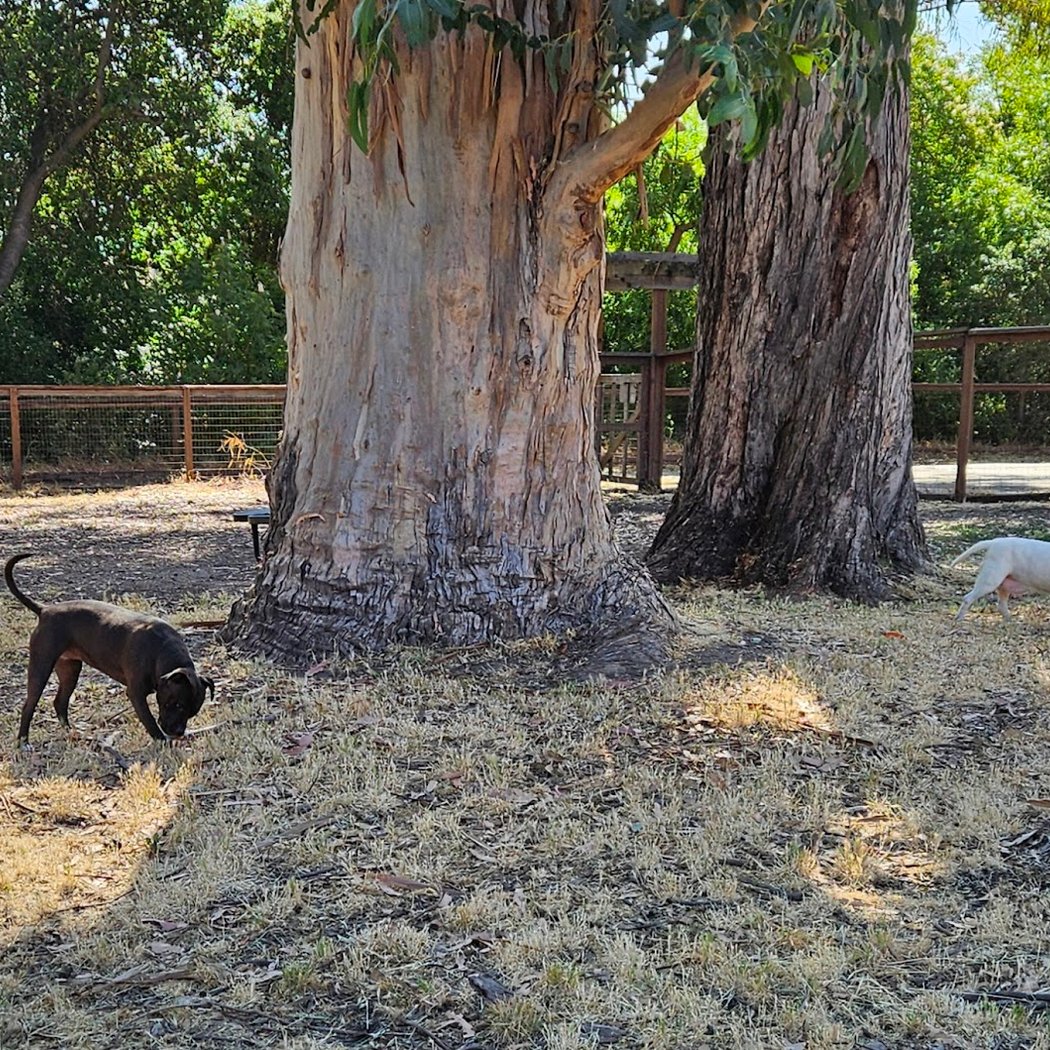 Ohlone Park 3