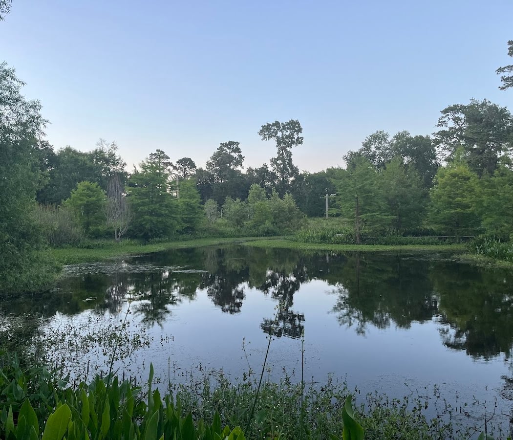 Houston Arboretum & Nature Center 2