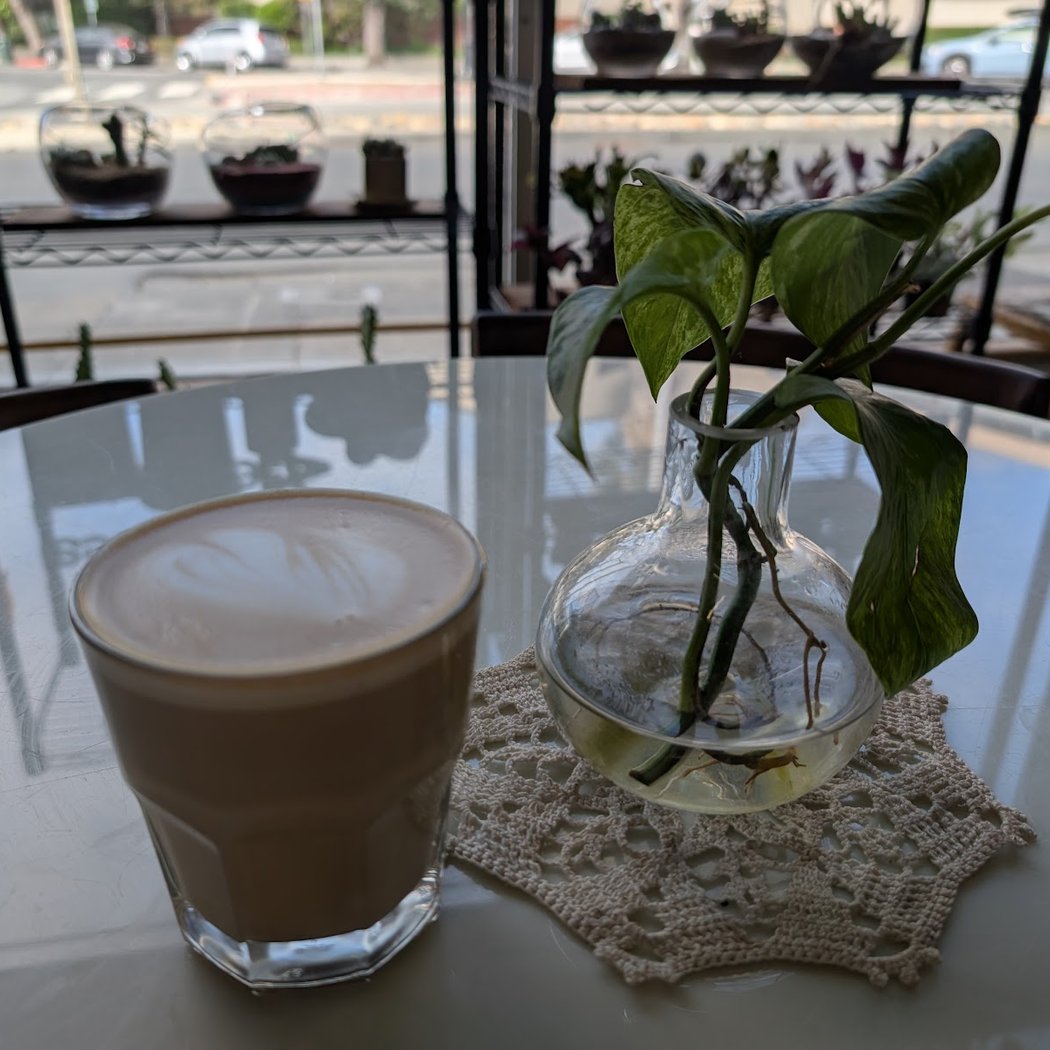Little Green – A Plant Bar 3