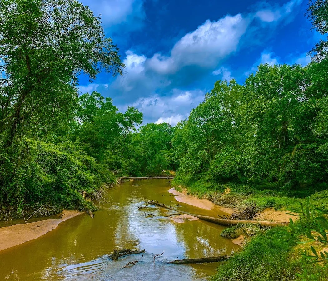 George Mitchell Nature Preserve 1