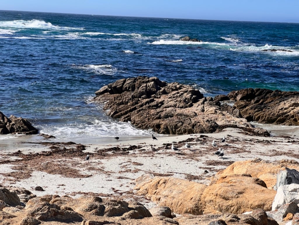 Pebble Beach 2
