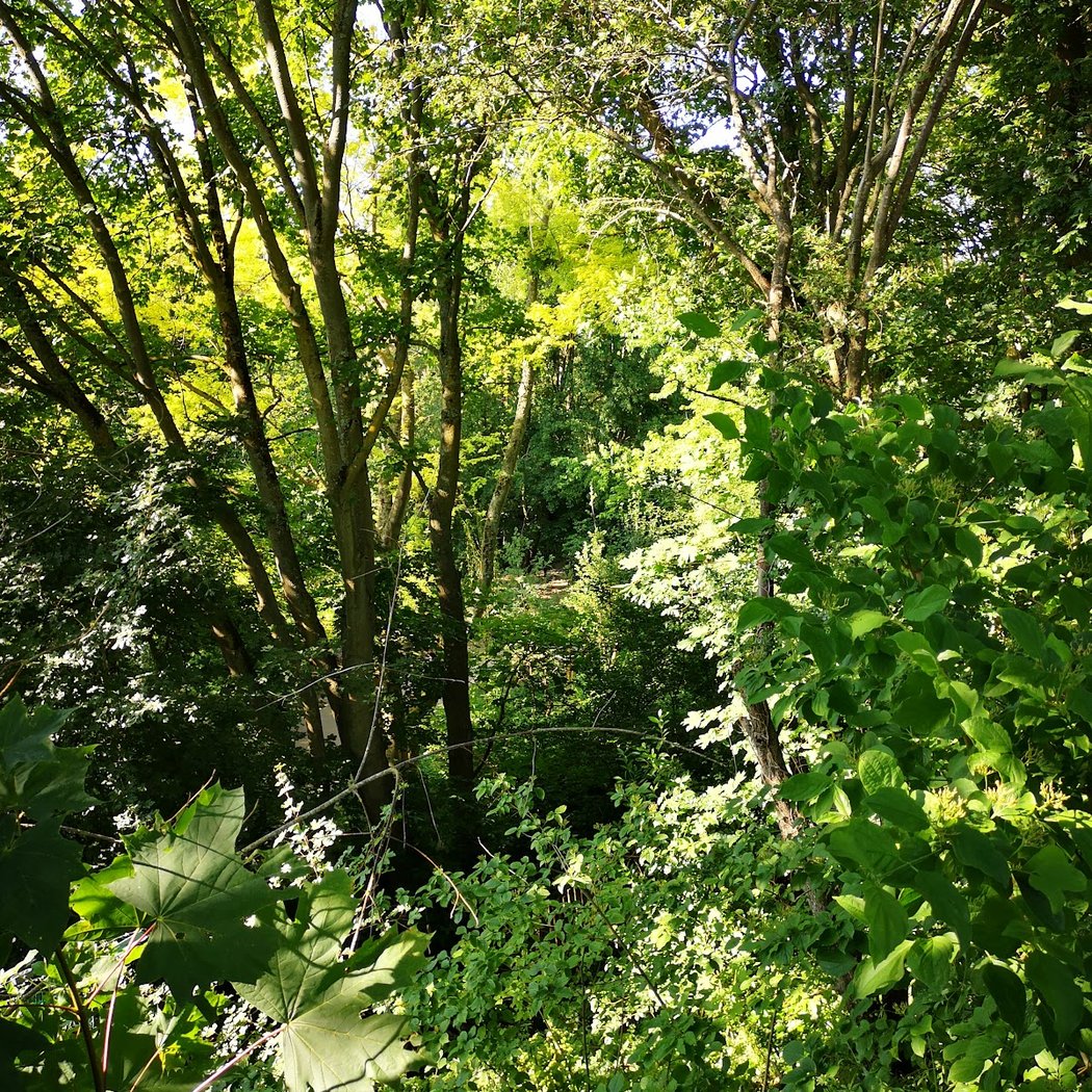 Panorama de la promenade Jacques BAUMEL 3