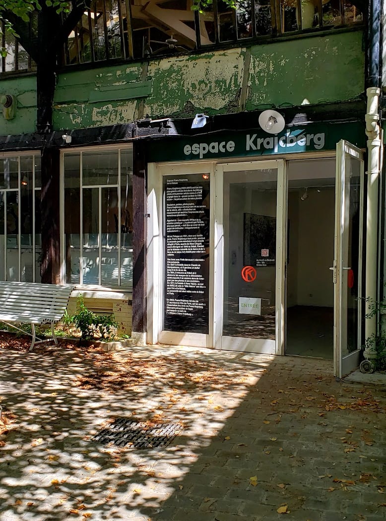 Hors-sol : Frans Krajcberg vu par Janice Melhem Santos 2