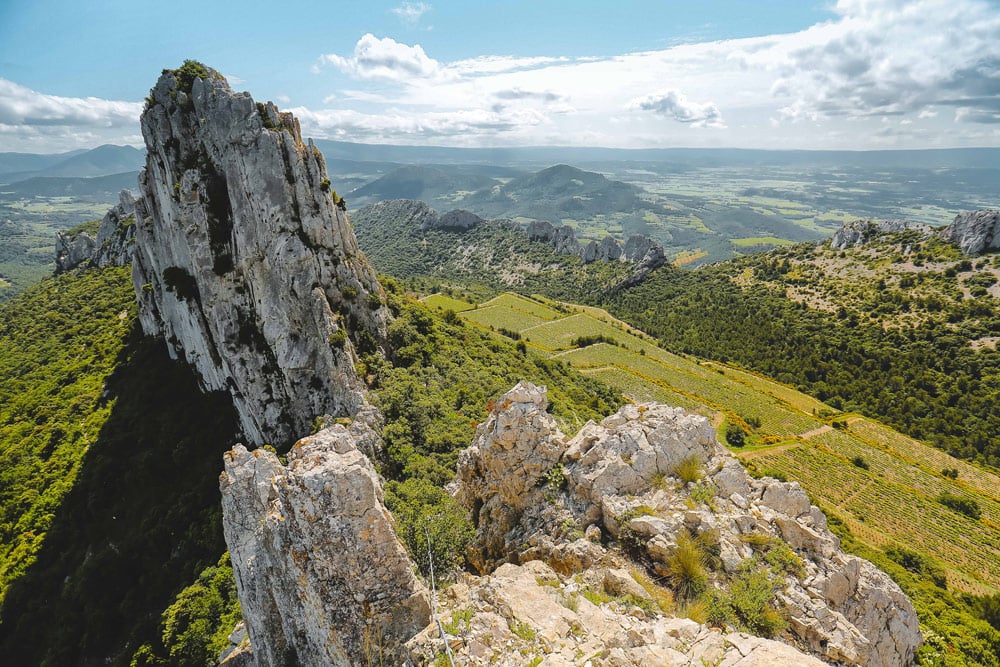 Dentelles de Montmirail 1