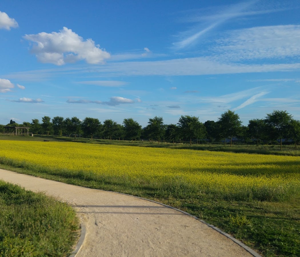 Journées thématiques au parc départemental du Lilas 1